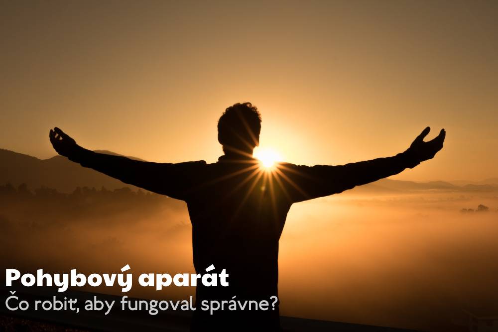 pohybový aparát